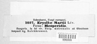 Erysiphe martii image